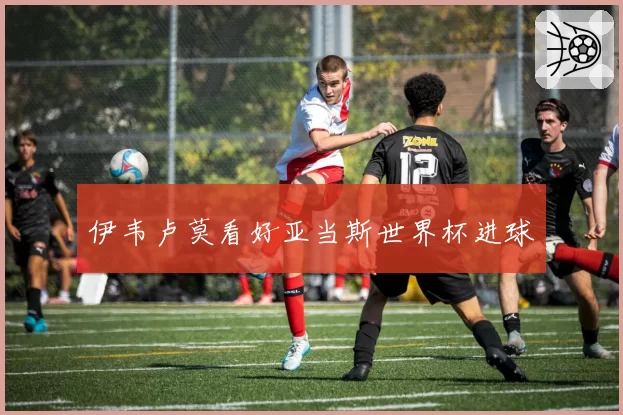 伊韦卢莫看好亚当斯世界杯进球