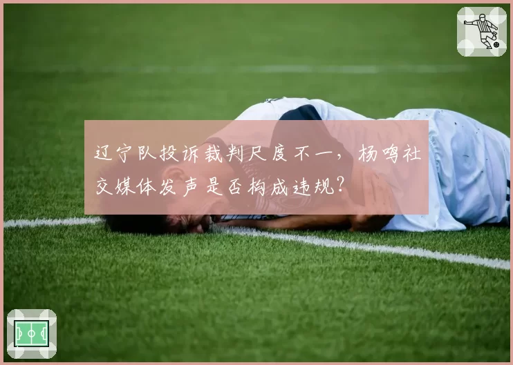 辽宁队投诉裁判尺度不一,杨鸣社交媒体发声是否构成违规?